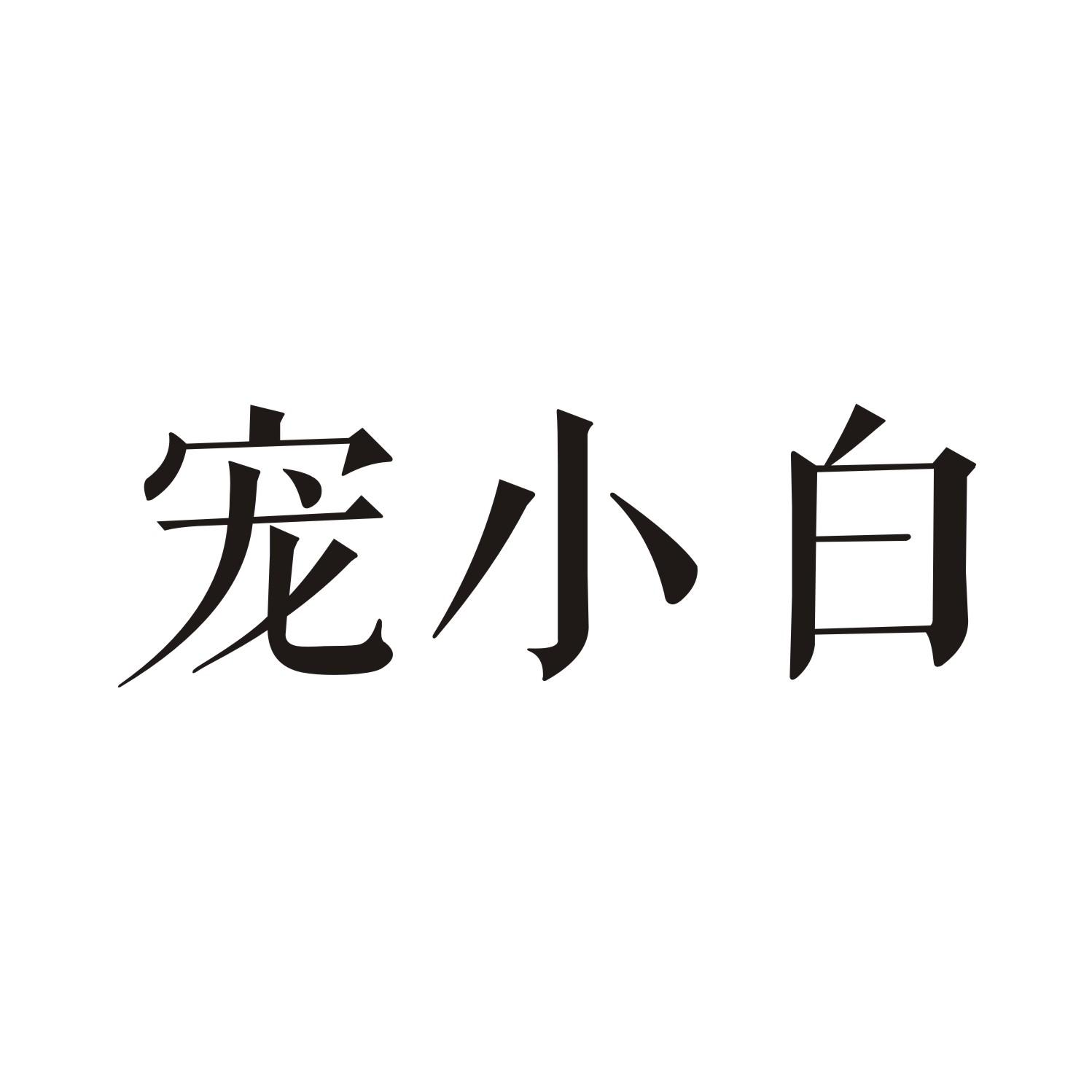 宠小白