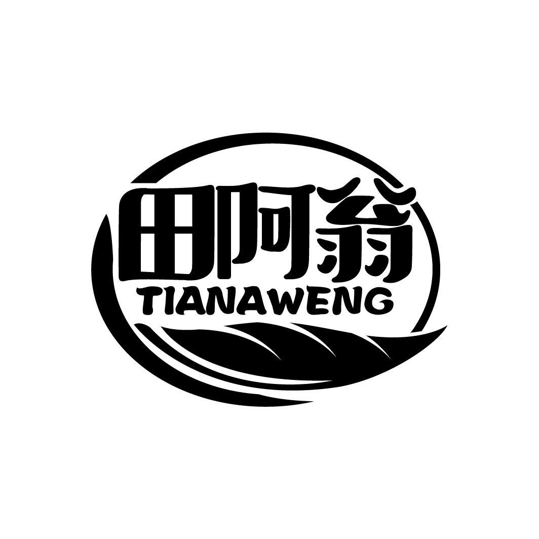 田阿翁