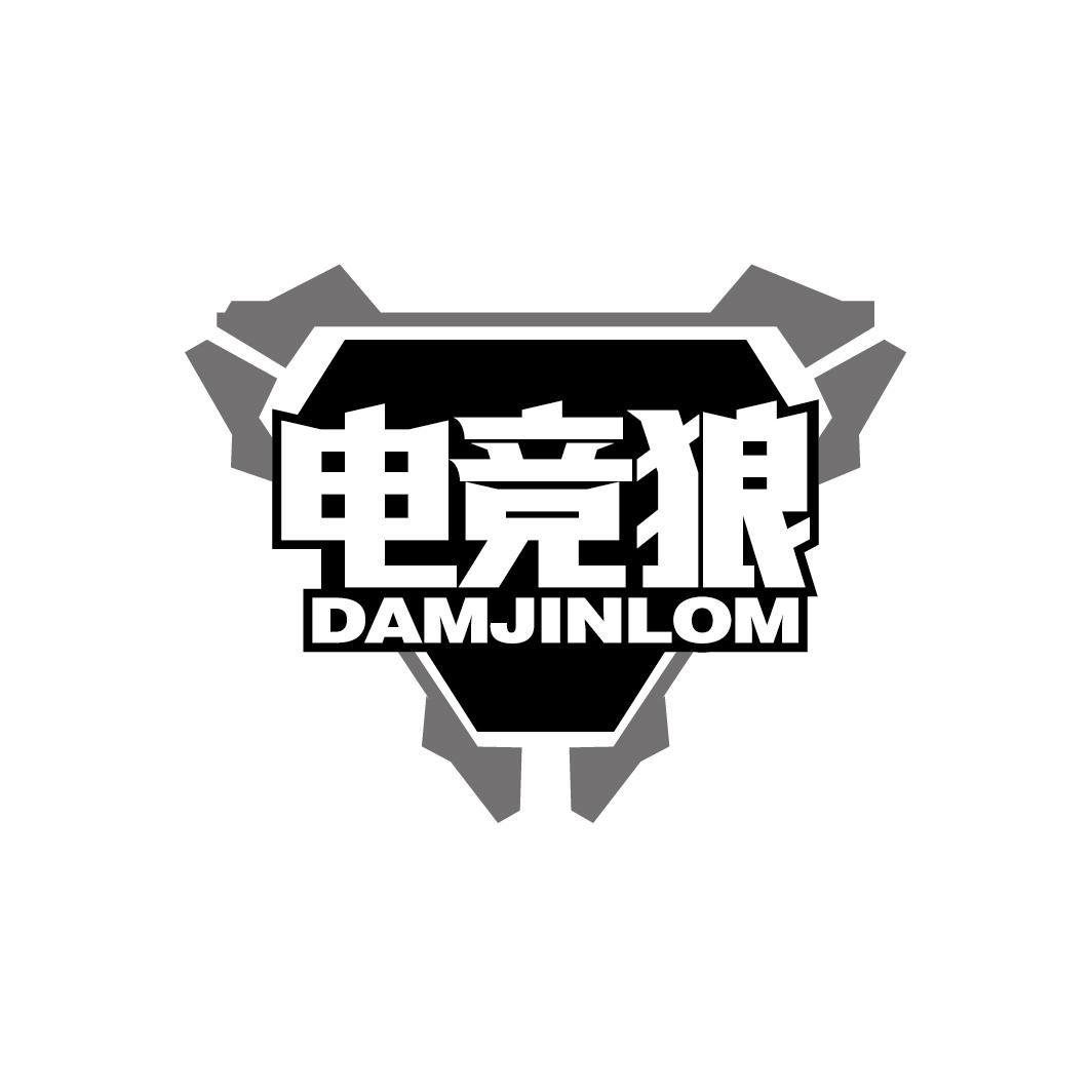 电竞狼
DAMJINLOM
