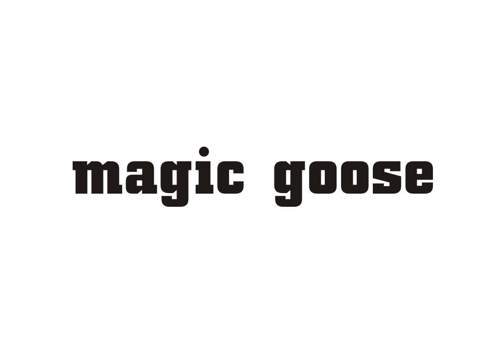 MAGIC GOOSE