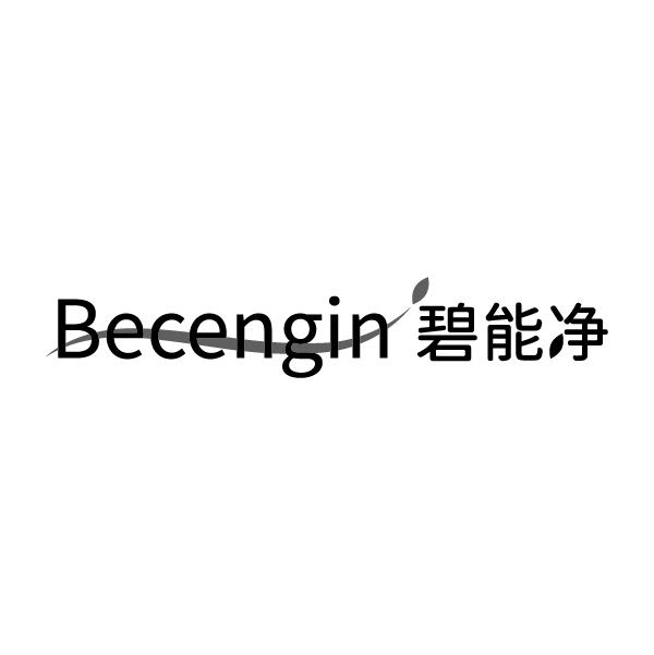 碧能净  BECENGIN