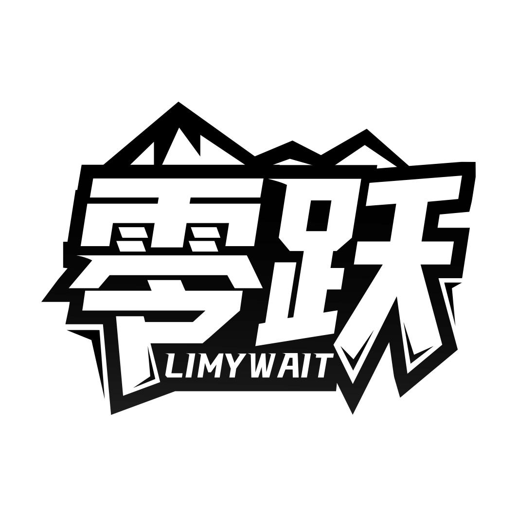 零跃 LIMYWAIT