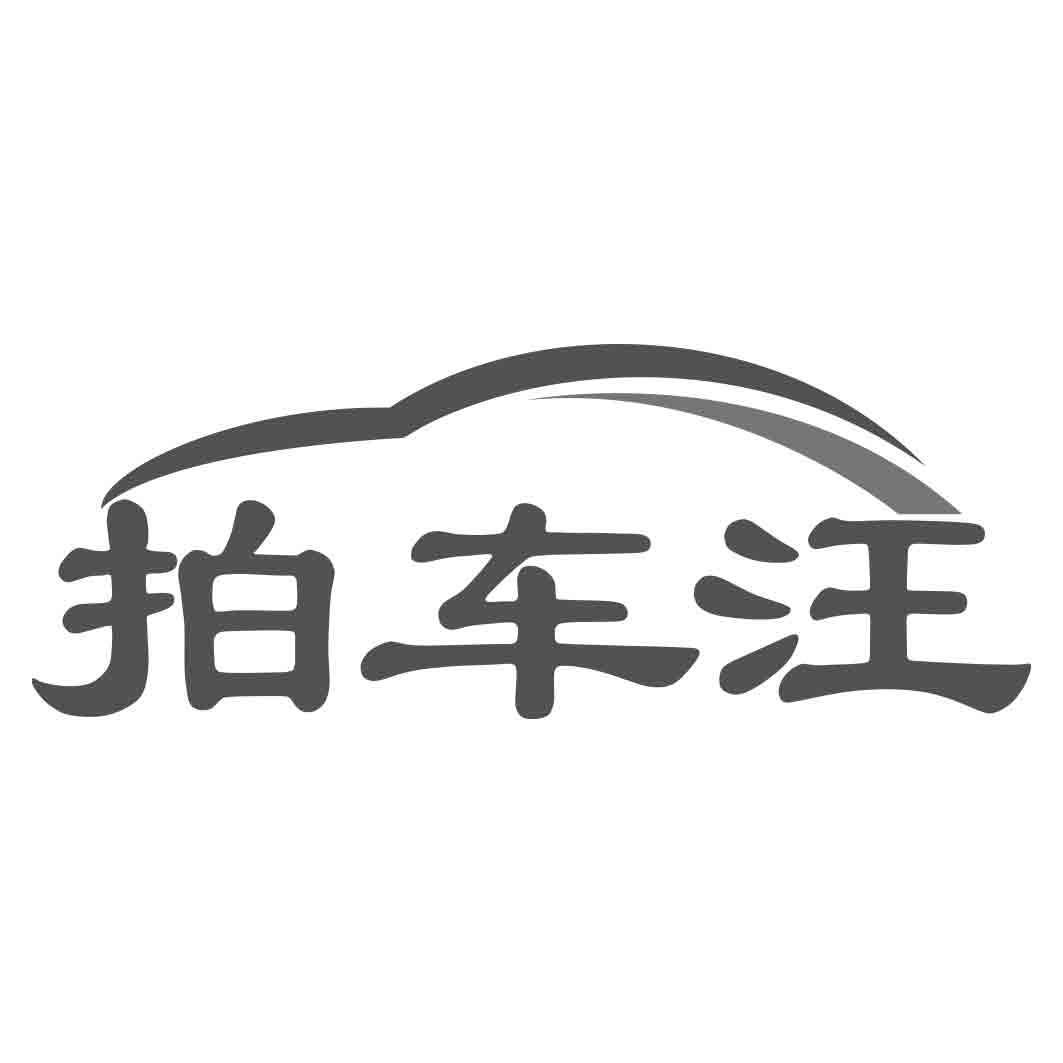 拍车汪