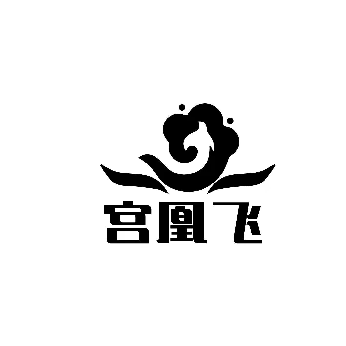 宫凰飞