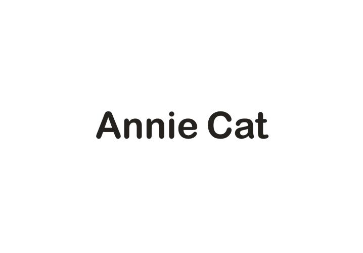 ANNIE CAR