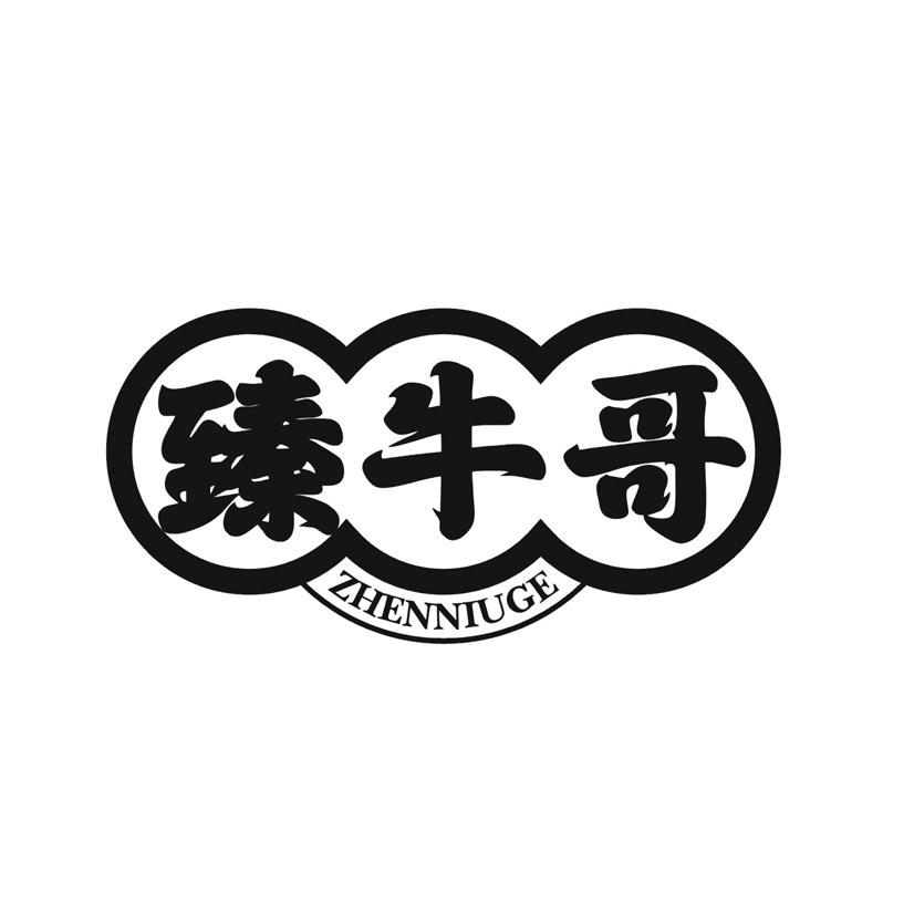 臻牛哥