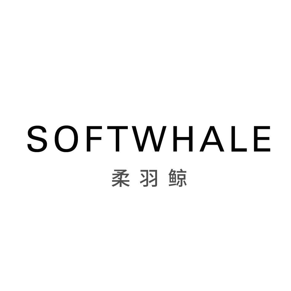 SOFTWHALE 柔羽鲸