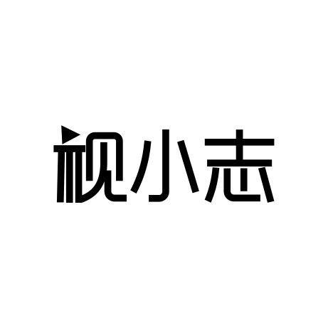  视小志