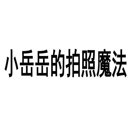 小岳岳的拍照魔法