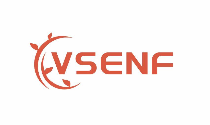 VSENF