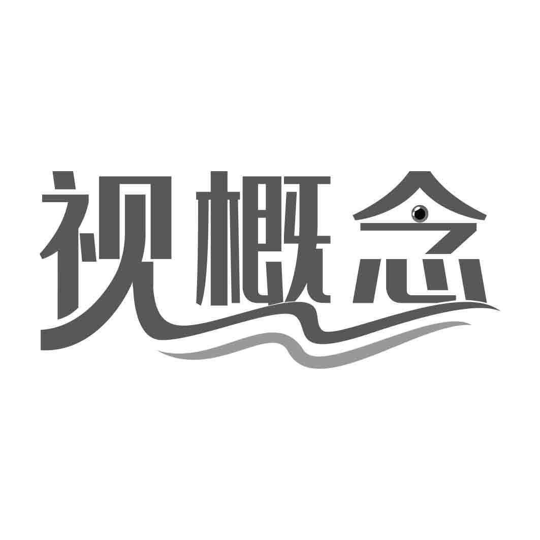 视概念