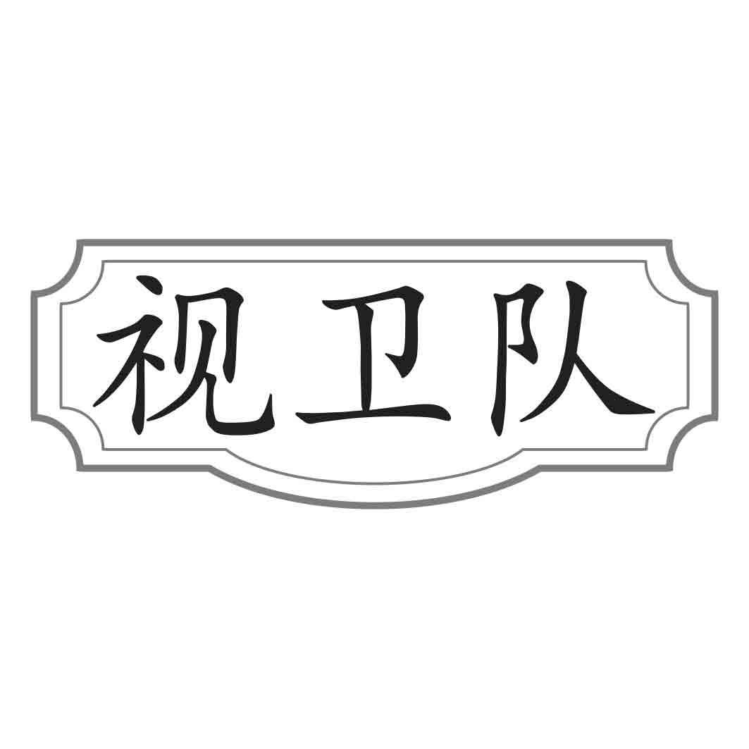  视卫队