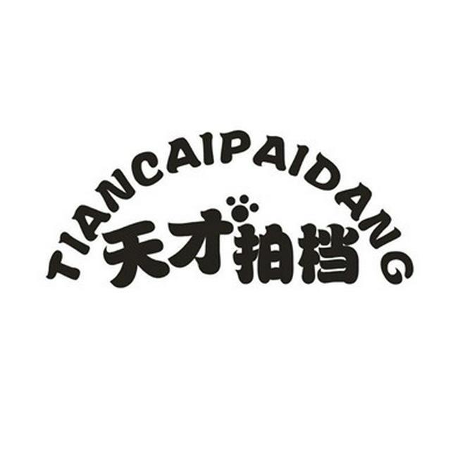 天才拍档