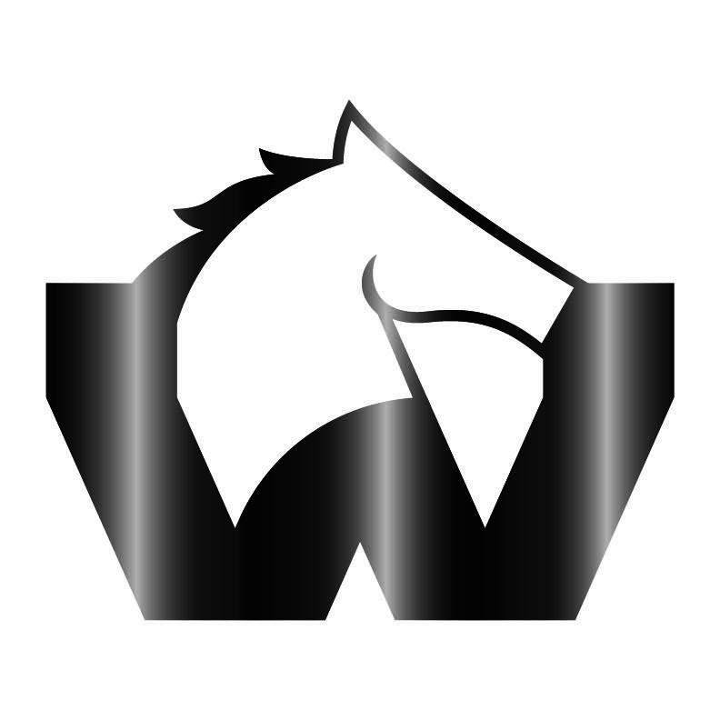 纯图形（W 马）