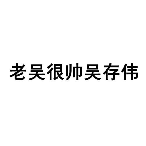 老吴很帅吴存伟