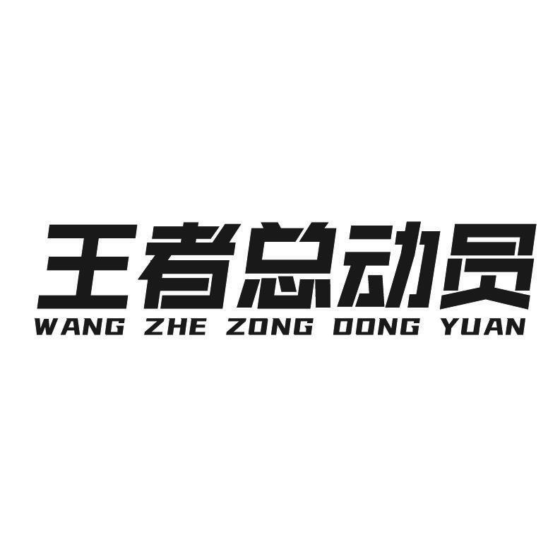 王者总动员+拼音