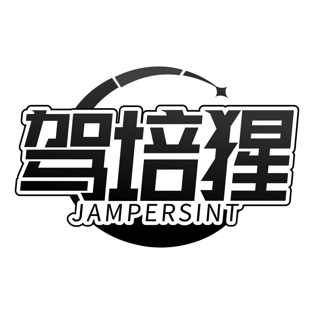 驾培猩 JAMPERSINT