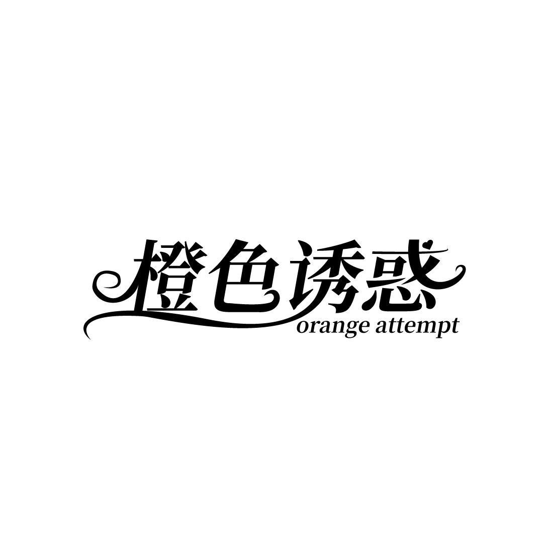 橙色诱惑 ORANGE ATTEMPT