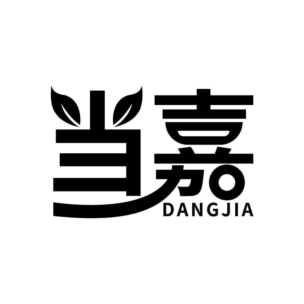 当嘉