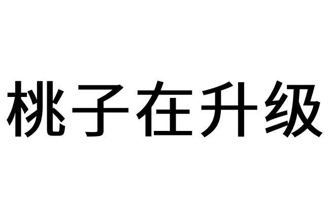桃子在升级
