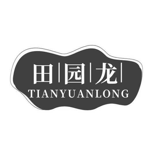 田园龙
