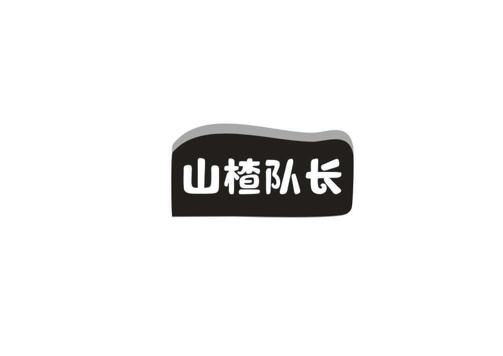山楂队长