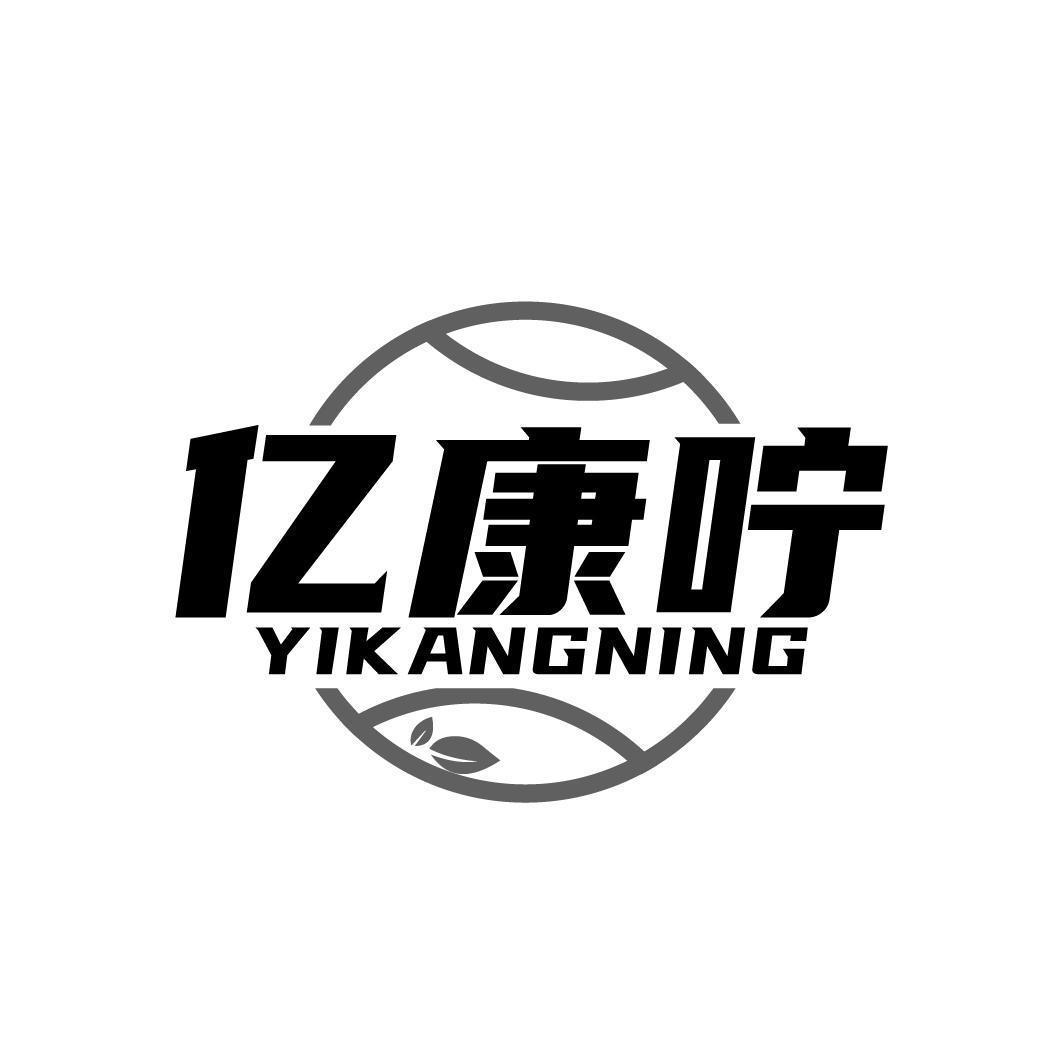 亿康咛YIKANGNING 