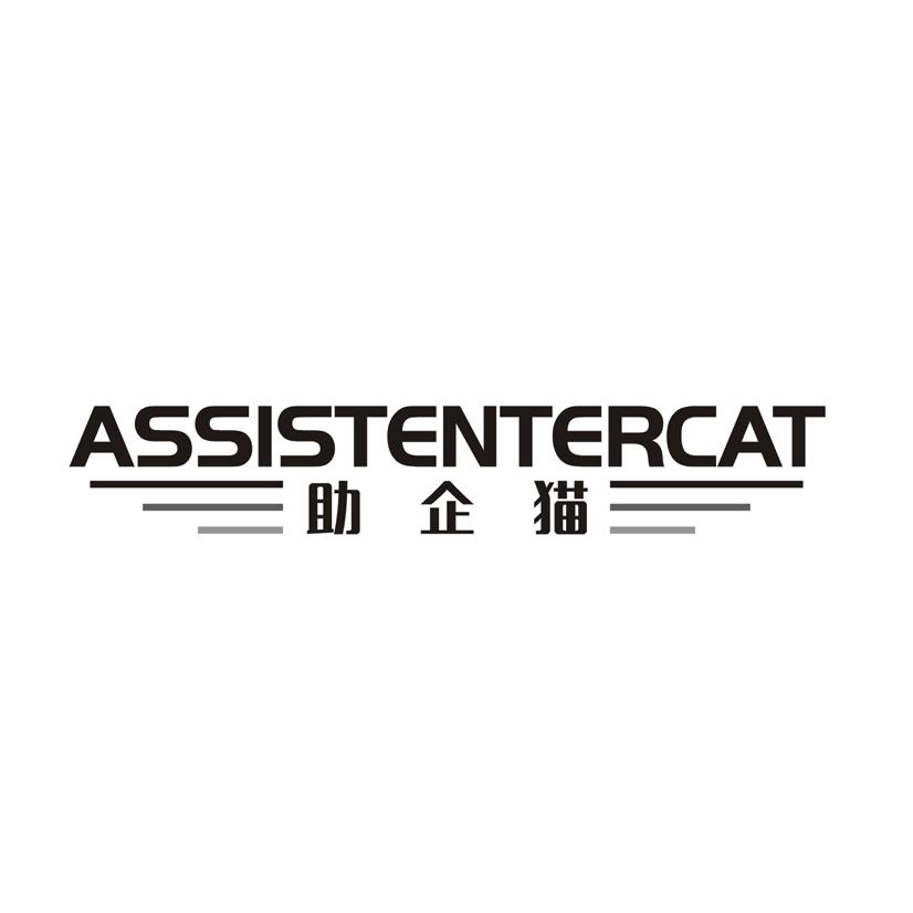 助企猫 ASSISTENTERCAT