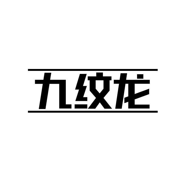 九纹龙