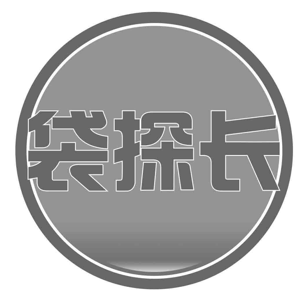 袋探长
