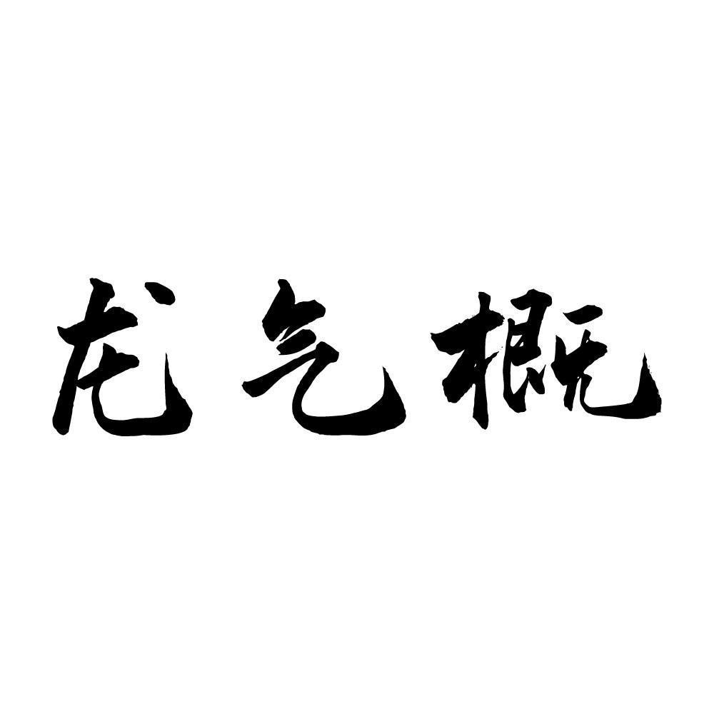 龙气概
