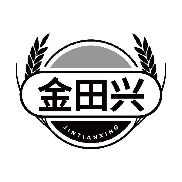 金田兴JINTIANXING