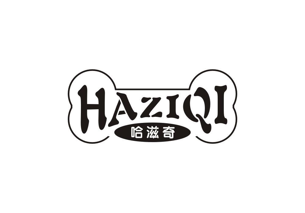 哈滋奇