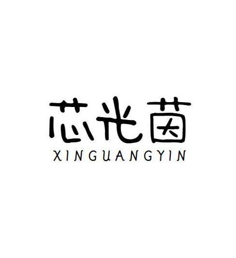 芯光茵