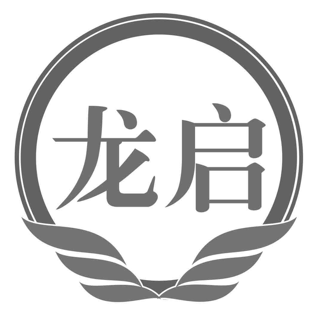 龙启