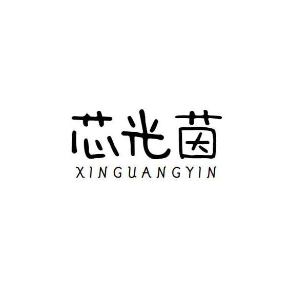 芯光茵