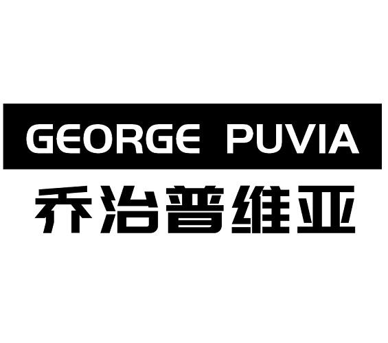 GEORGE PUVIA
乔治普维亚