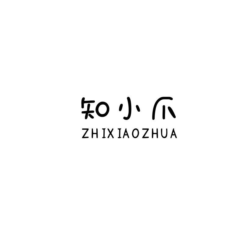 知小爪