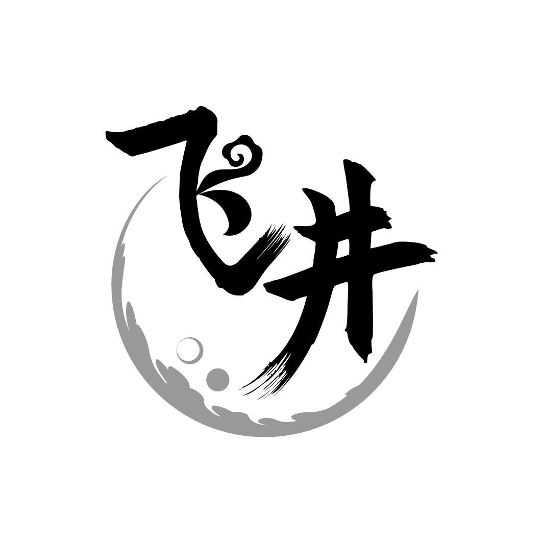 飞井