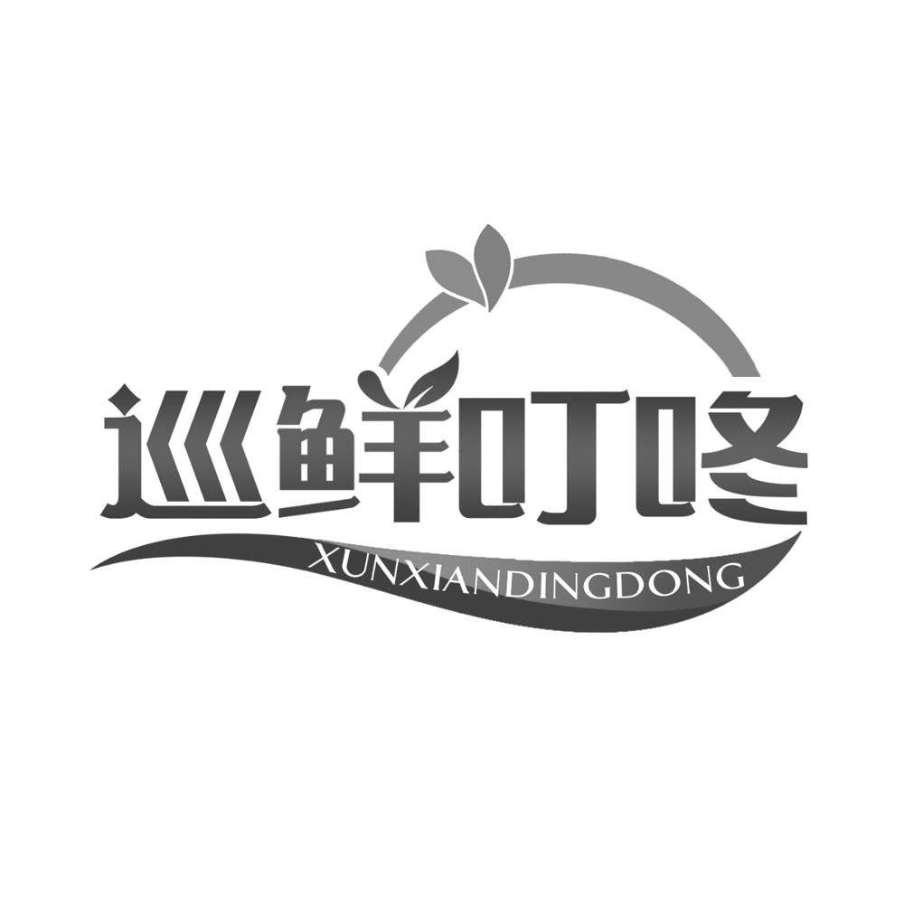 巡鲜叮咚