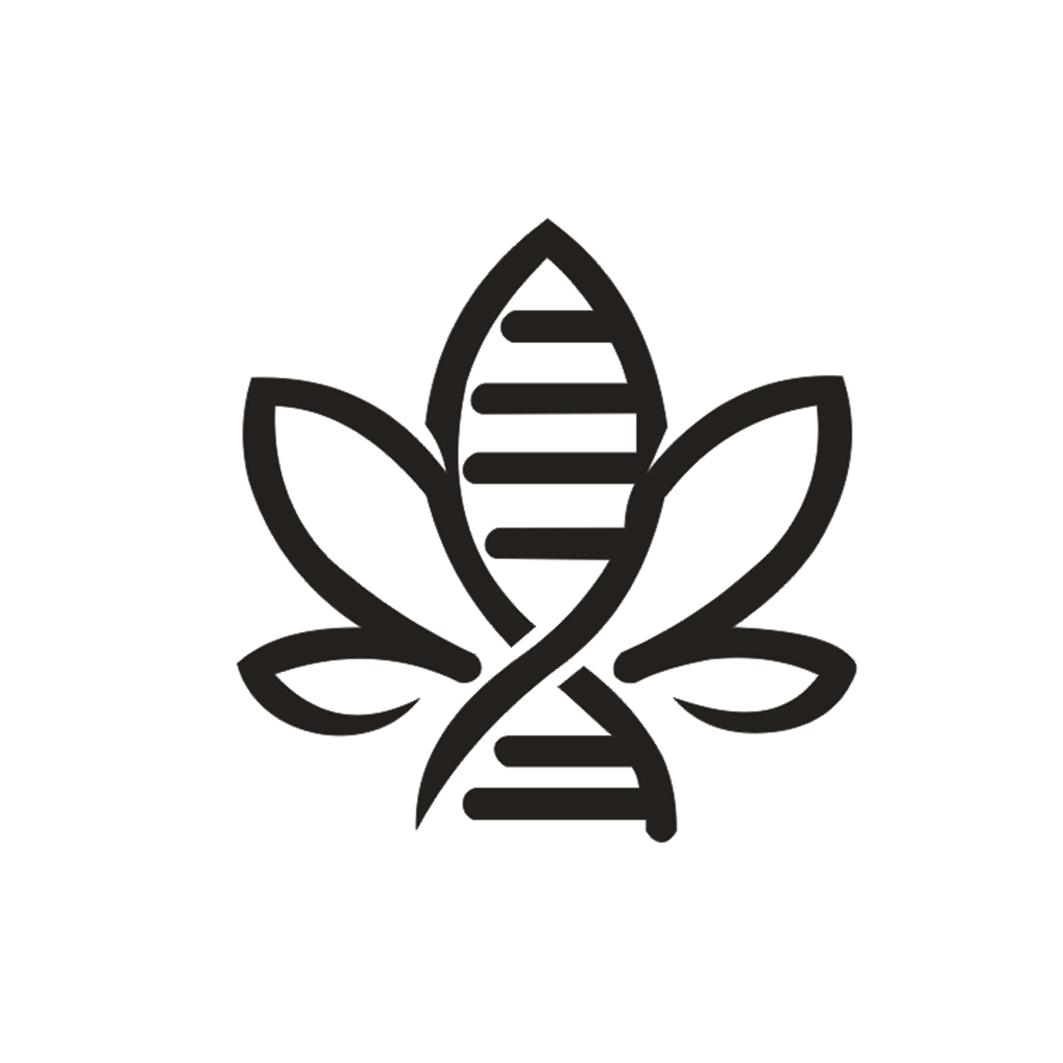 图形