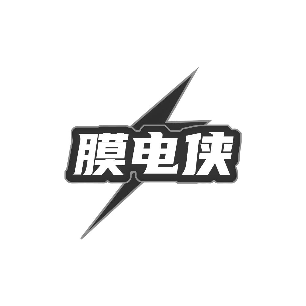 膜电侠