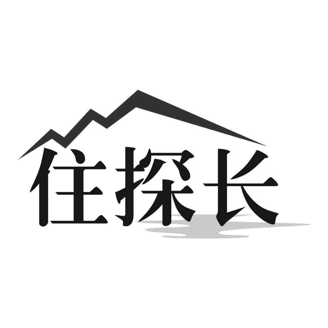 住探长