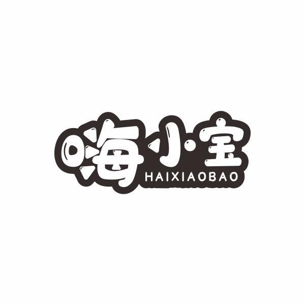 嗨小宝