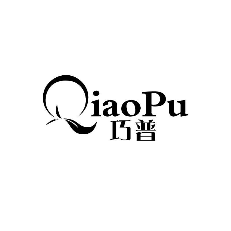 巧普