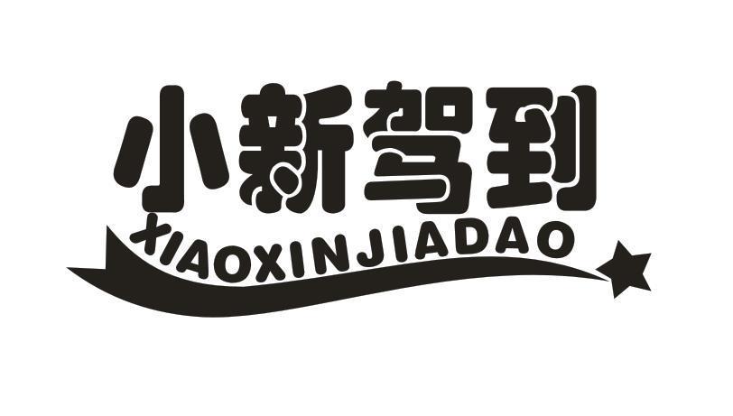 小新驾到