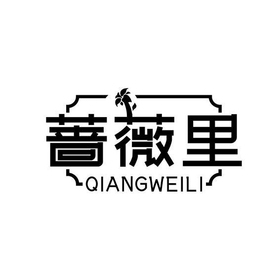蔷薇里QIANGWEILI 