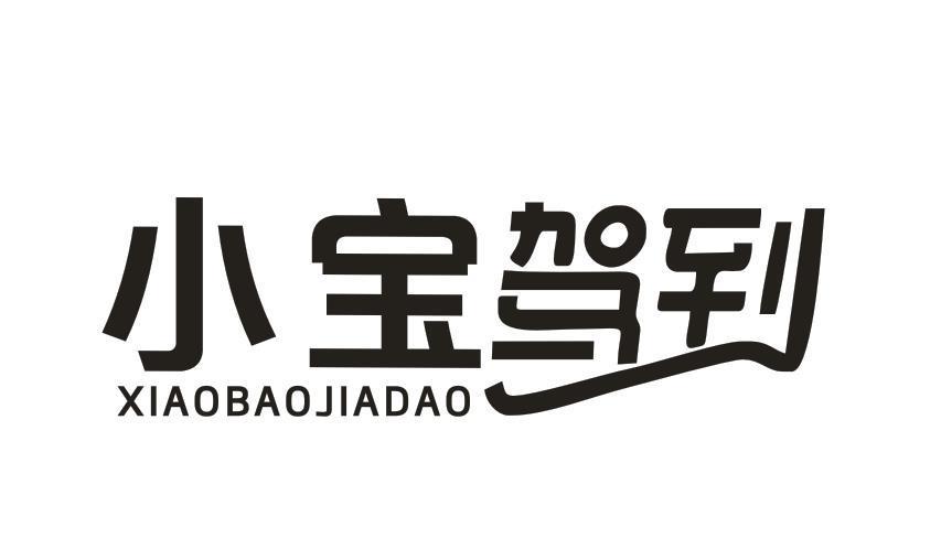 小宝驾到