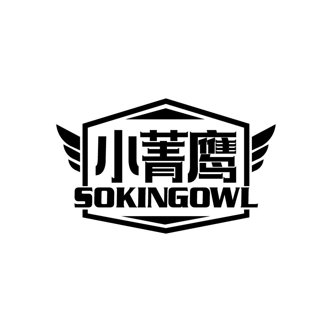 小菁鹰
SOKINGOWL