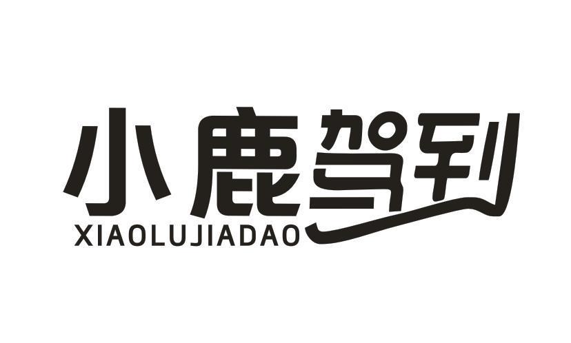 小鹿驾到